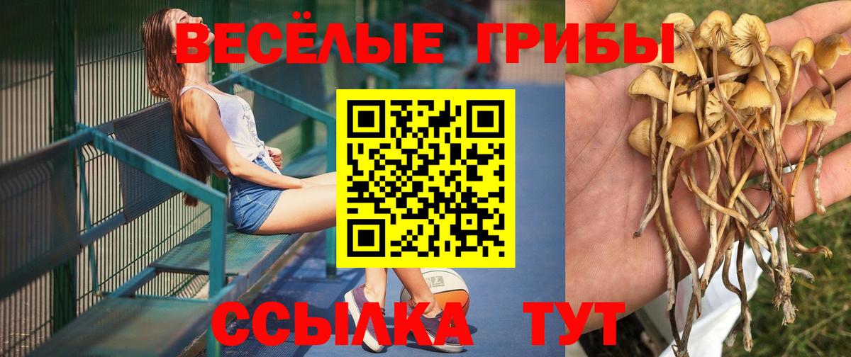 Псилоцибиновые грибы прущие грибы Красноуфимск